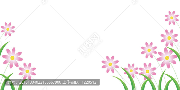 雛菊花