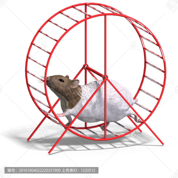 倉鼠輪中的可愛倉鼠