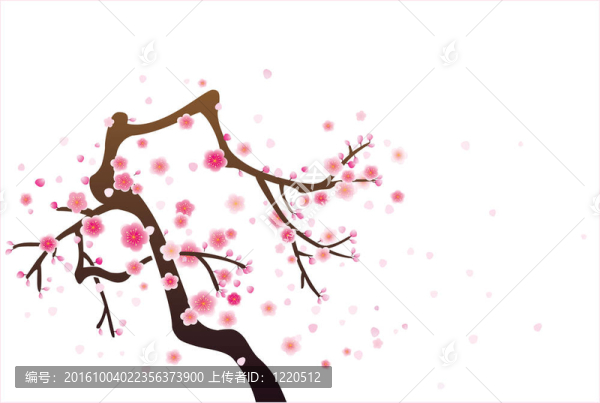 梅花
