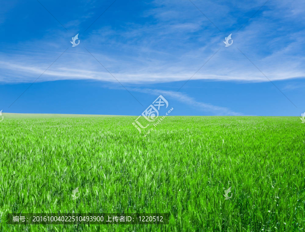 夏季自然