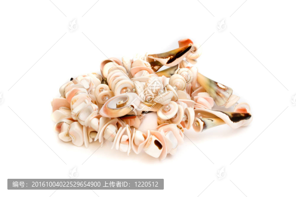 珠