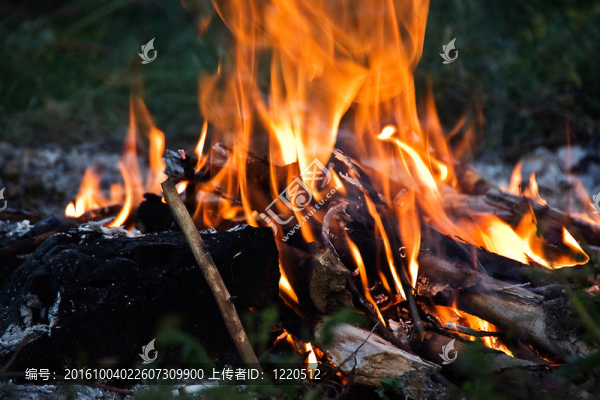 火焰火之舌。俄羅斯.Samara。
