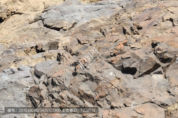 火山巖在加那利群島的富埃特文圖拉島島