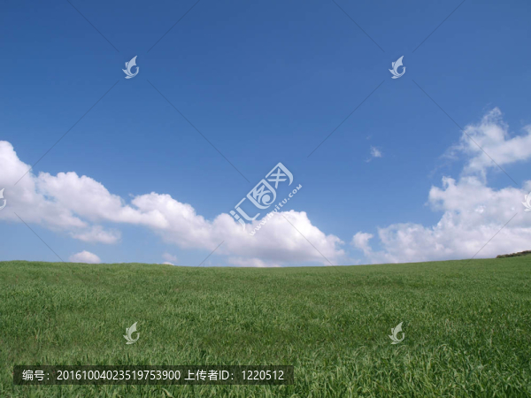 綠色的草山