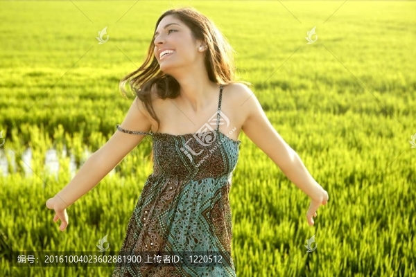 美麗的黑色的印度婦女在綠色的稻田