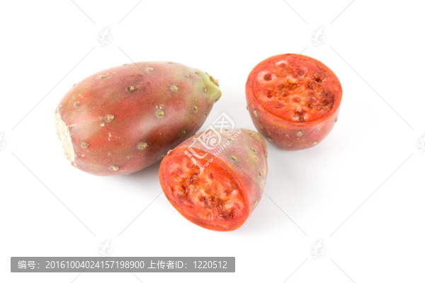 仙人掌的果實