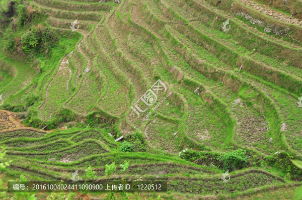龍脊梯田；普羅旺斯桂林；中國