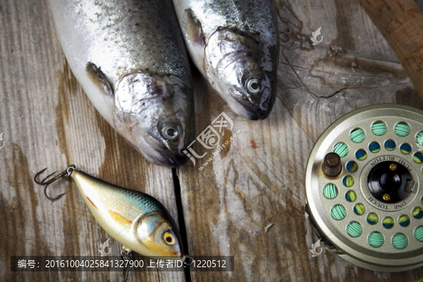 魚和捕魚