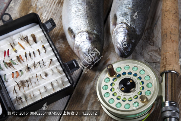 魚(yú)