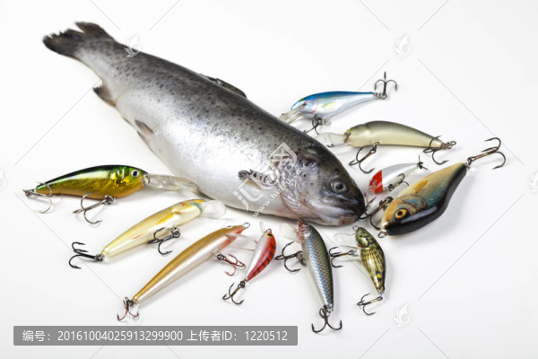 魚和捕魚