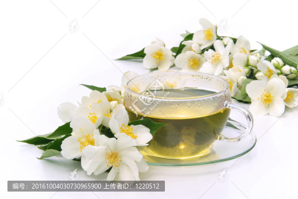 茉莉花茶05