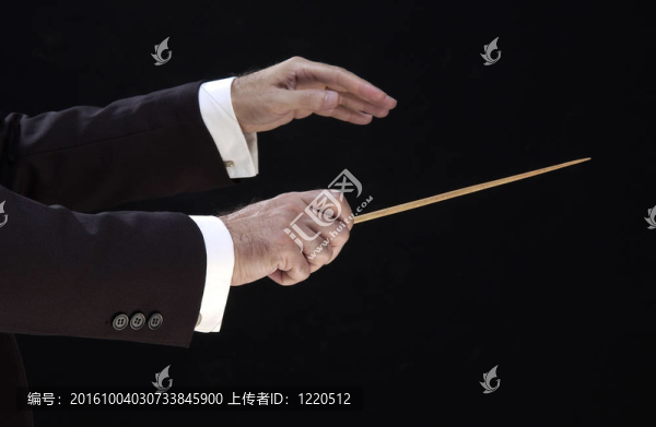 導(dǎo)演之手