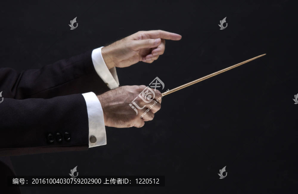 導演之手