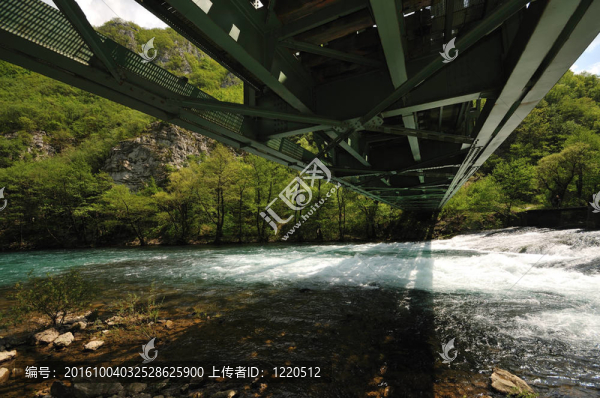 橋河野