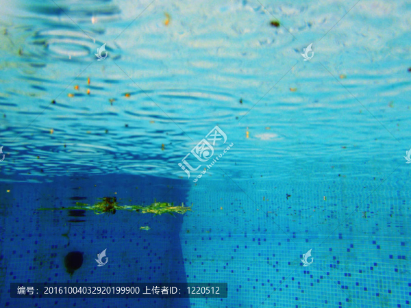 水下的世界