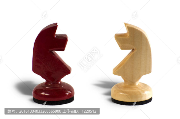 盯著象棋的馬