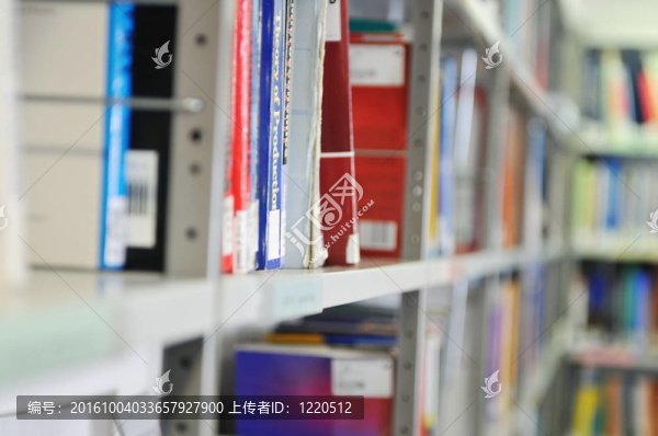 圖書館的書