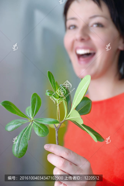 美麗女孩控股年輕工廠