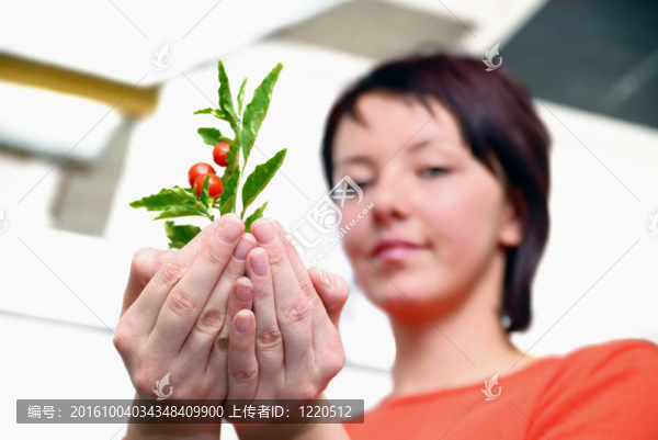 美麗女孩控股年輕工廠