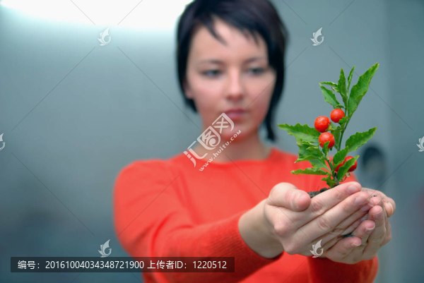 美麗女孩控股年輕工廠