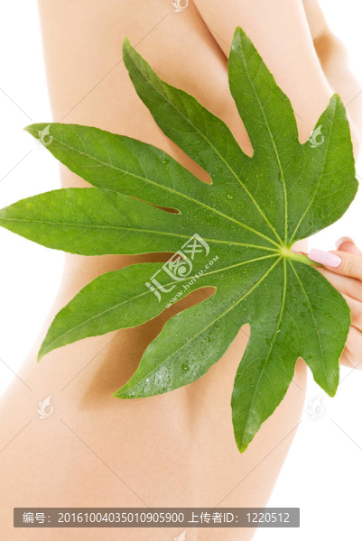 女性軀干與綠色葉白色