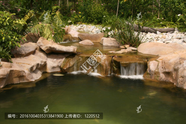 瀑布；植物園；新加坡
