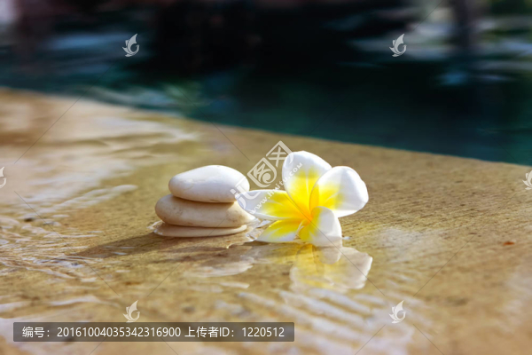 鮮花和石頭在酒店水療中心