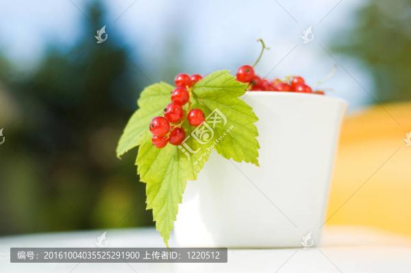 紅色的電流