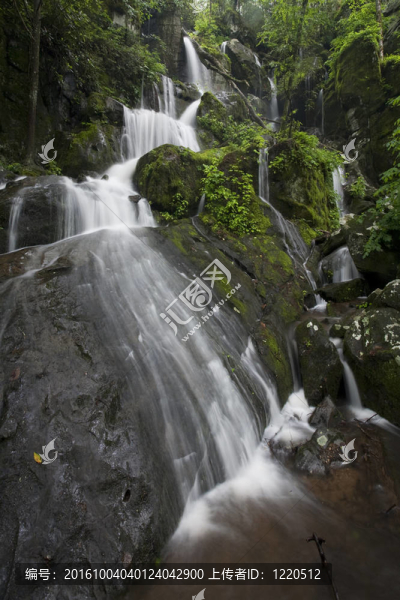 大煙山