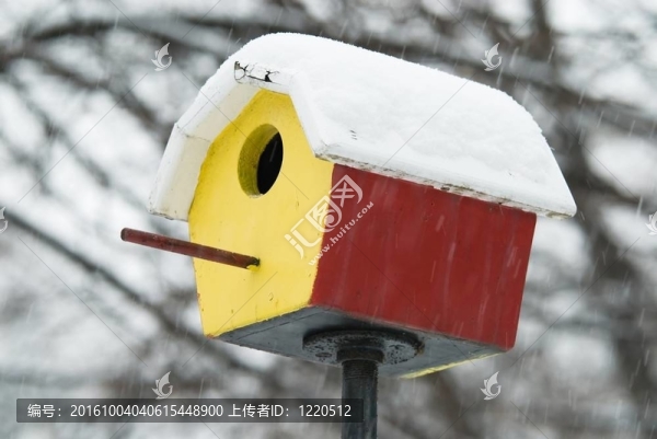 躲避暴風(fēng)雪