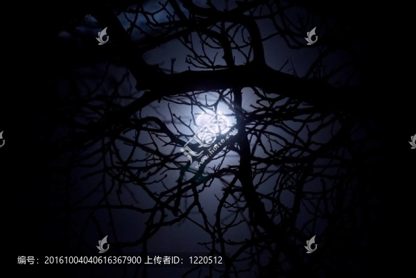 幽靈般的午夜的月光