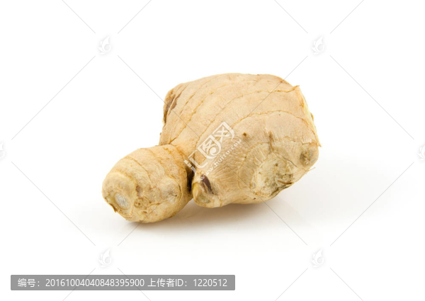 鮮姜