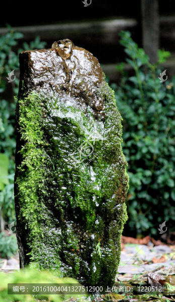 水功能2