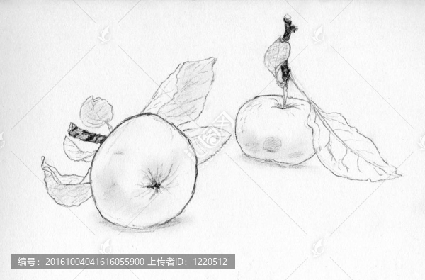 蘋果