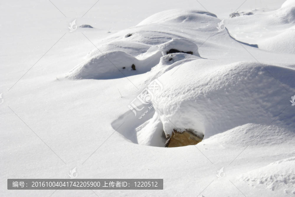 雪的陰影和陰影