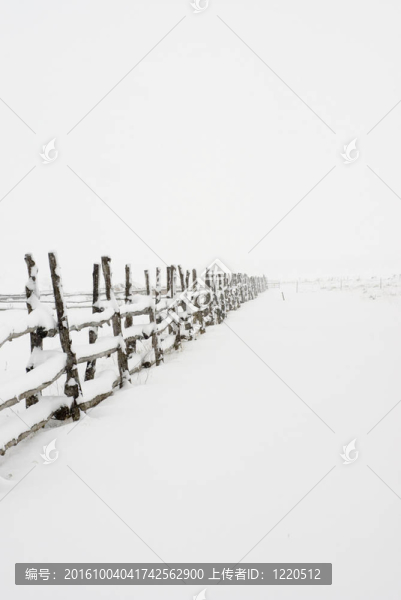 消失的柵欄