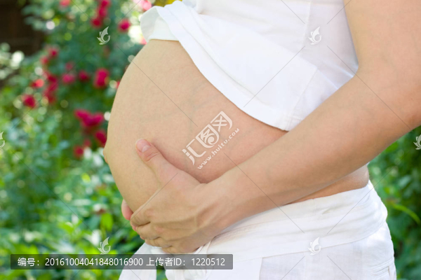 孕婦的肚子