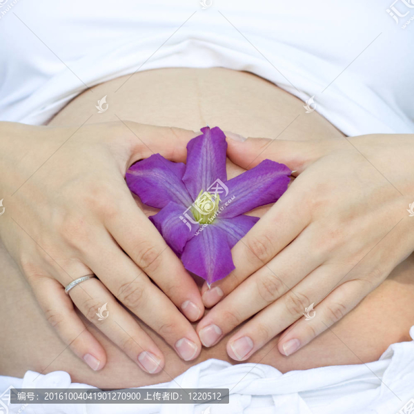 鐵線蓮的花