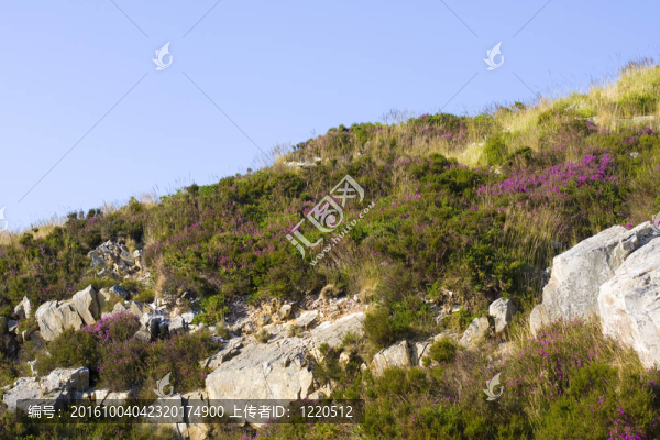 小山