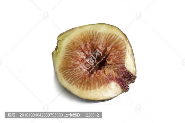無花果的果實