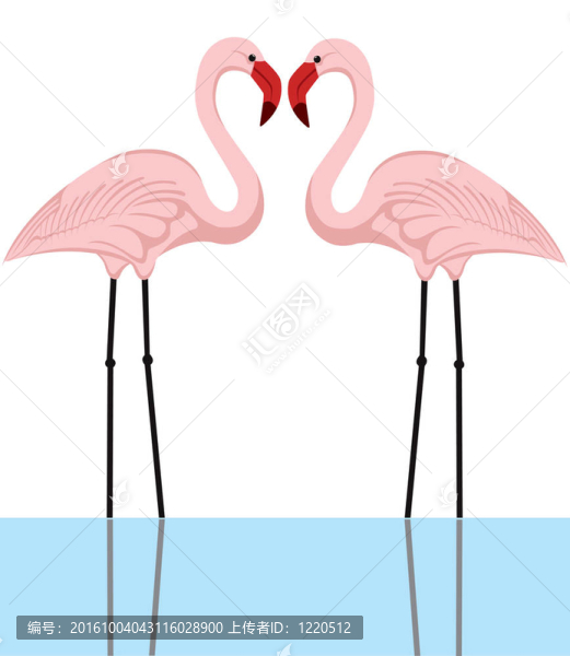 火烈鳥夫婦