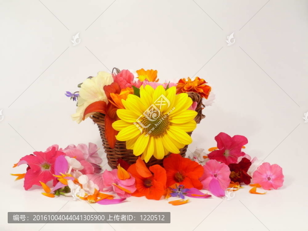 flowerpower