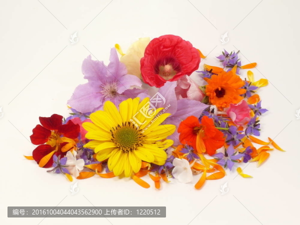 flowerpower