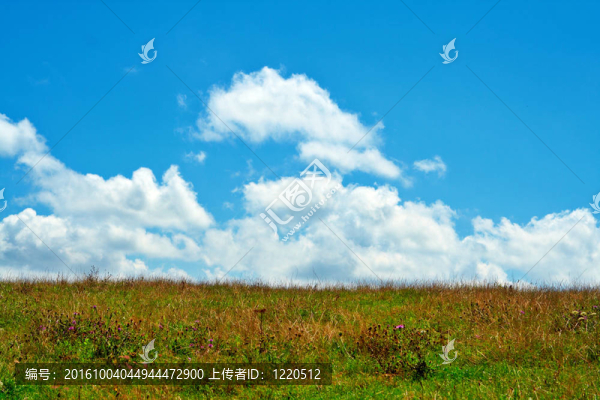 綠地；藍(lán)天白云