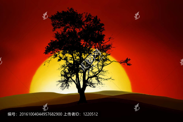 浪漫的樹