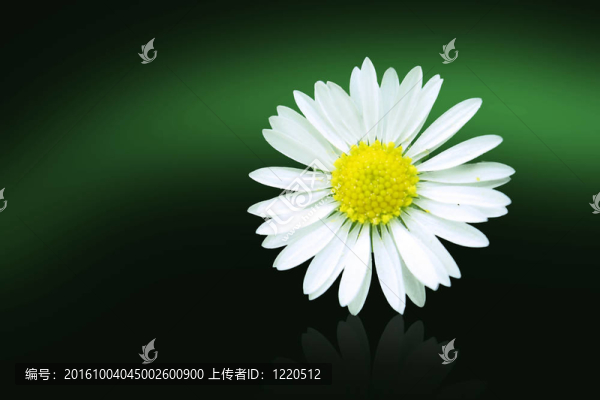 春天