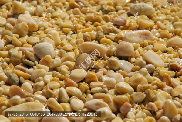 海灘上的卵石04