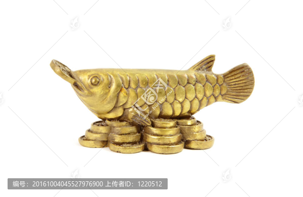 風水龍魚