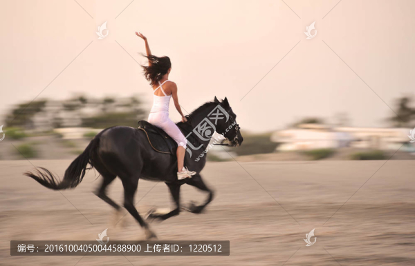 奔馳的駿馬