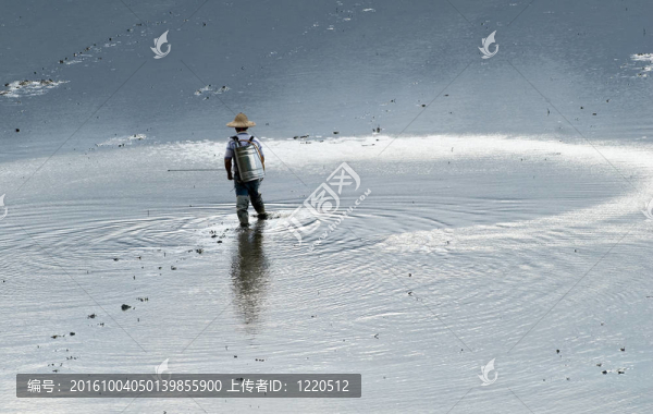 農(nóng)民噴灑農(nóng)藥